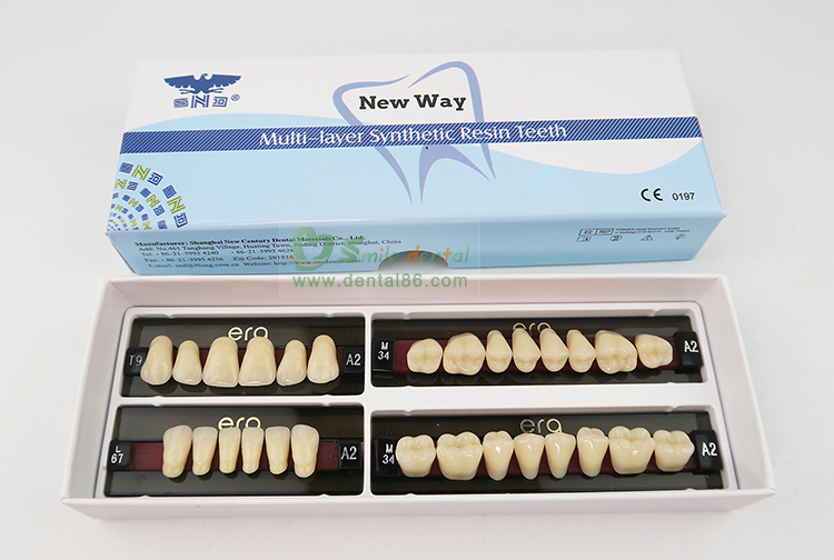 R101 Three Layer Acrylic Resin Teeth